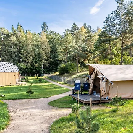Camp * Gulbity