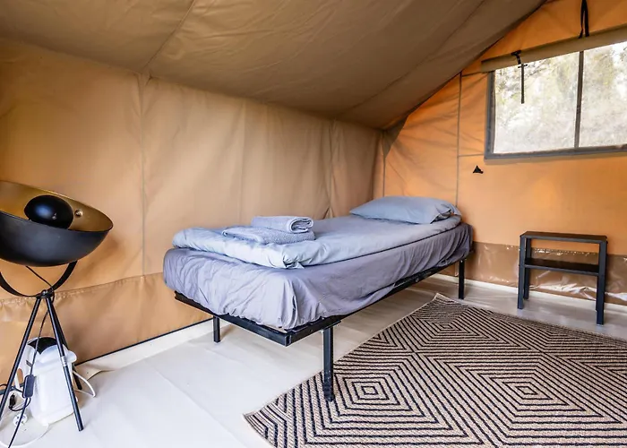 Camp Campo de lujo *